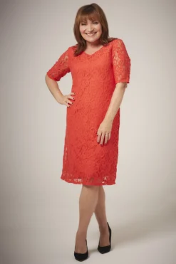 Short Sleeve Lace Dress