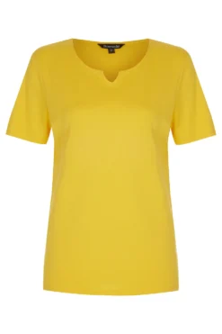 Short Sleeve Plain Notch Neck Top